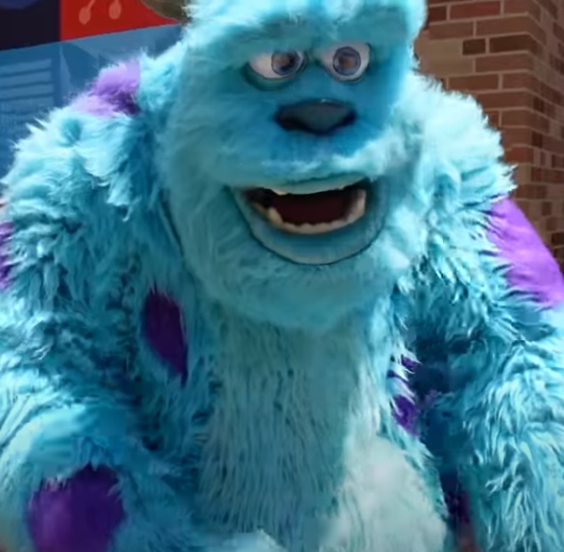 Sulley from Monsters Inc.