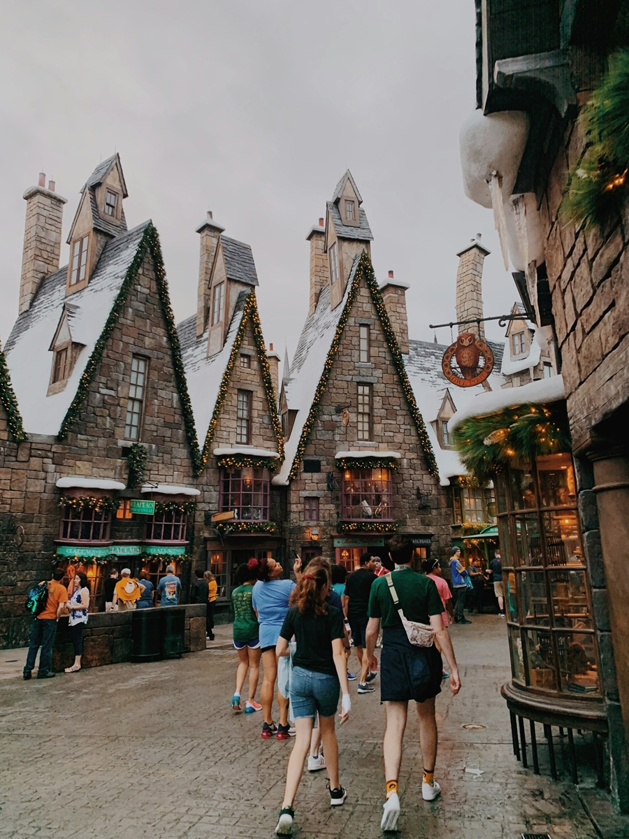 Hogsmeade in the snow