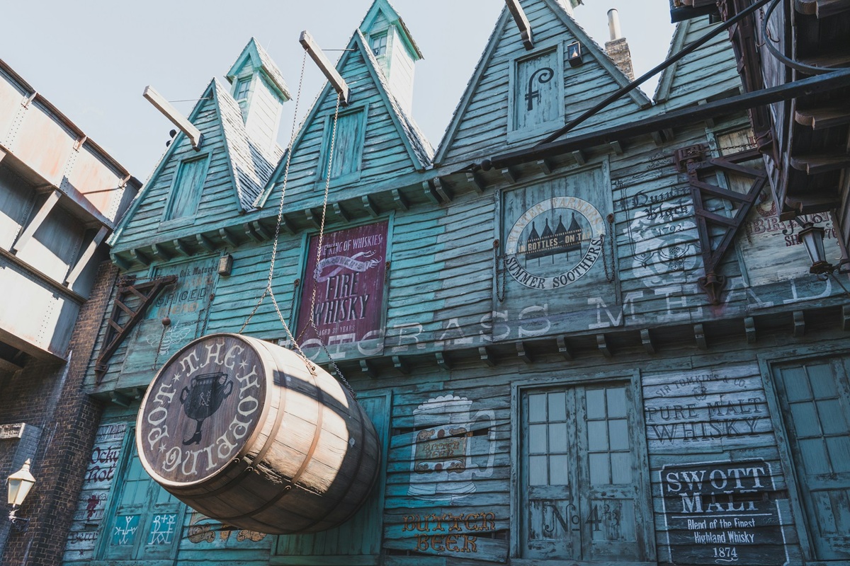 The Hopping Pot Pub in Diagon Alley