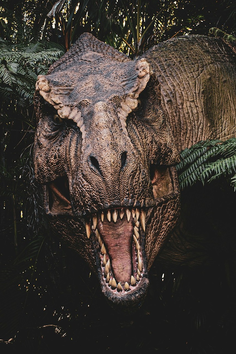 Dinosaur at Jurassic Park Islands of Adventure