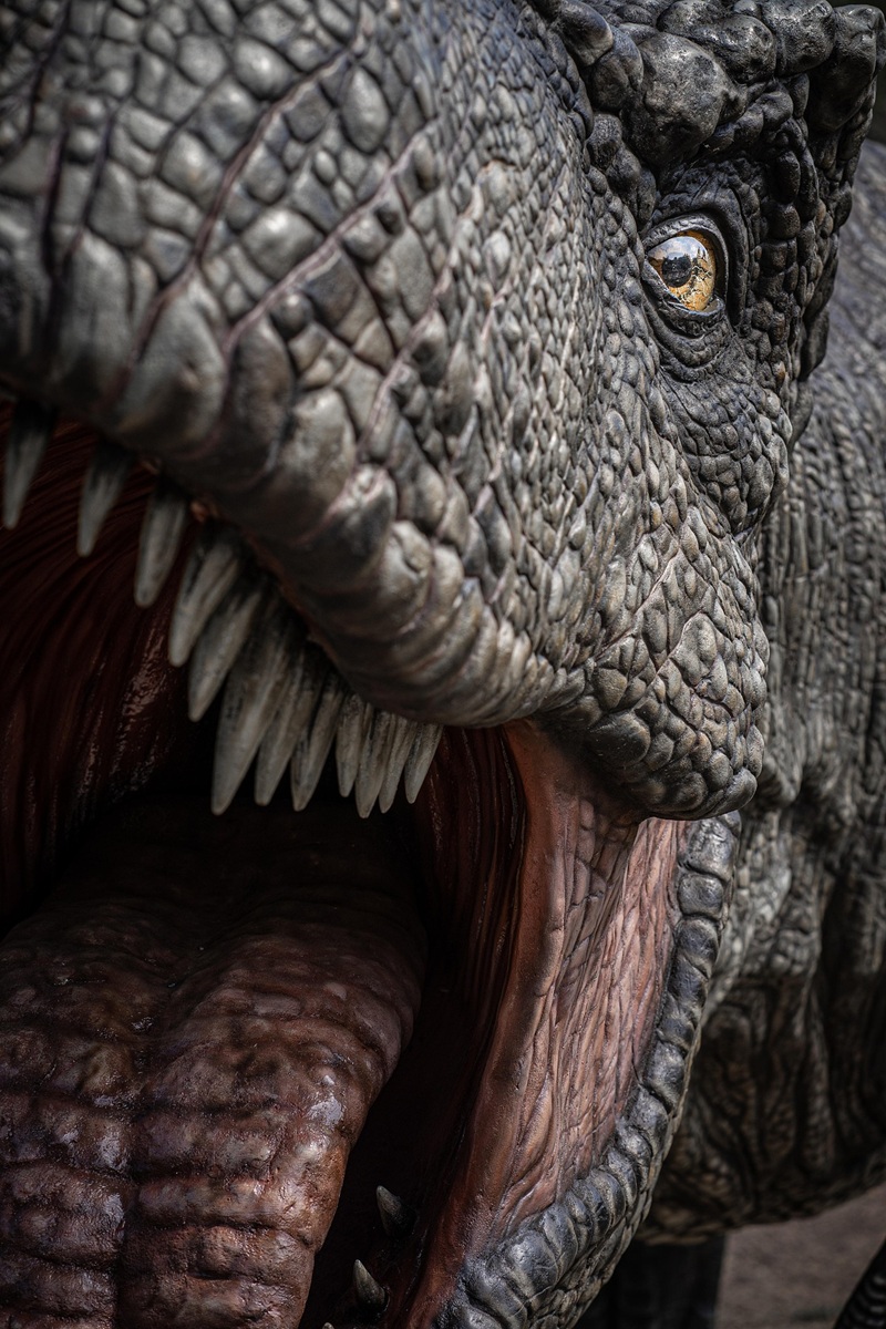 Close-up of a T-Rex