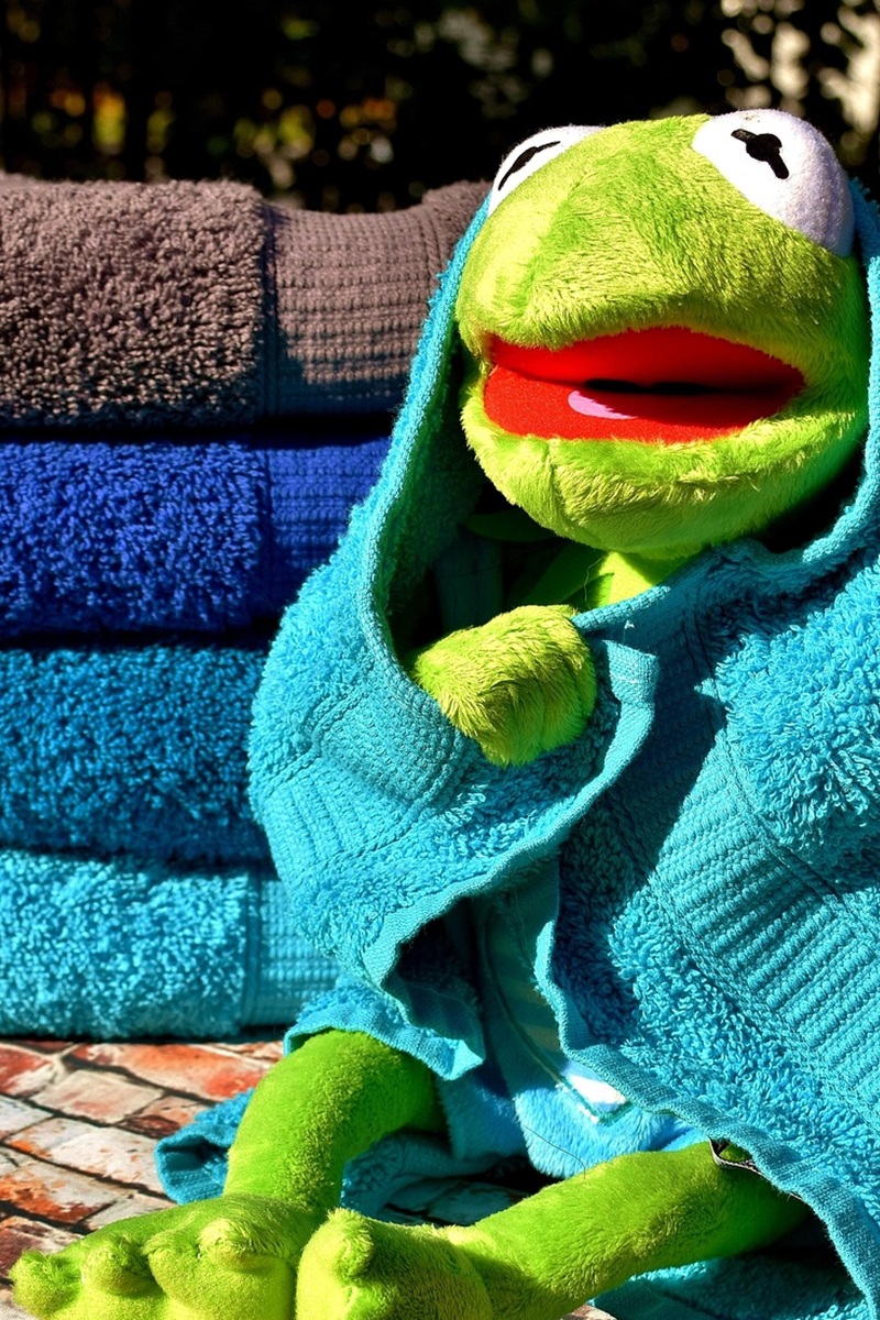 Kermit wrapped in a towel